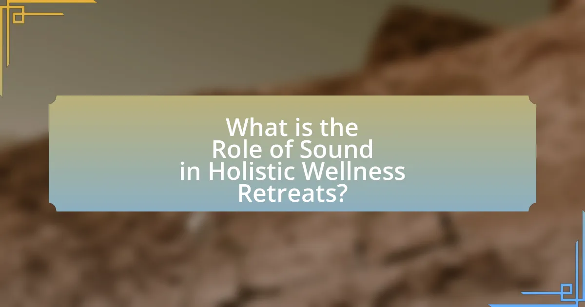 What is the Role of Sound in Holistic Wellness Retreats?